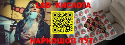 крисы Будённовск