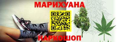 крисы Будённовск