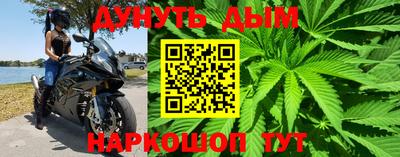 крисы Будённовск